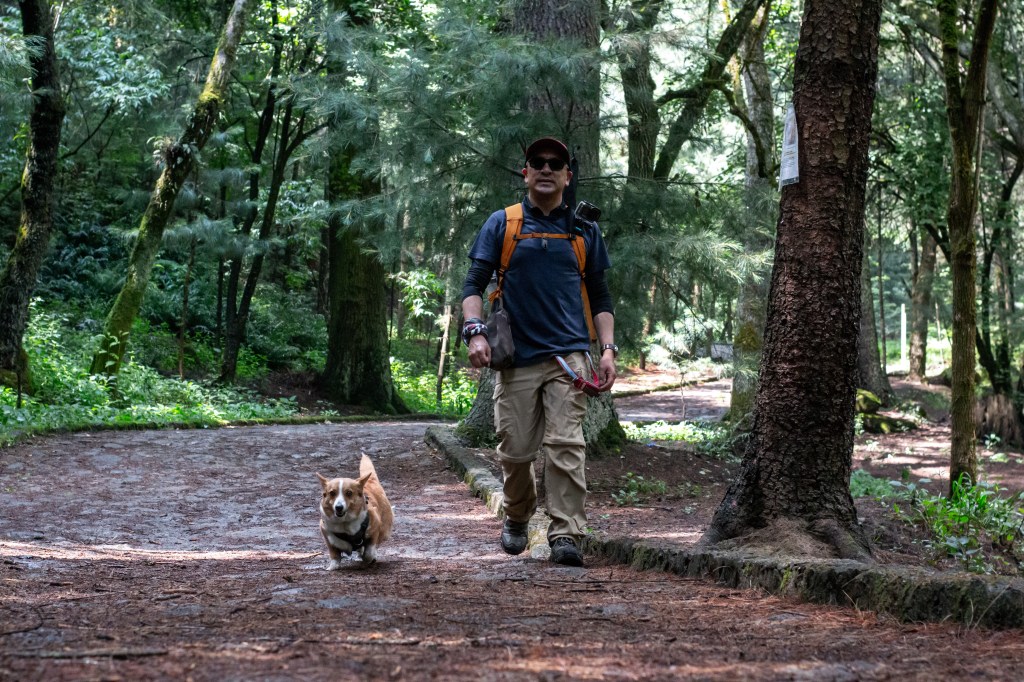 Nala y yo en el camino